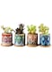 Generic 4 Pcs Succulent Plant Pots Small Modern Ceramic Indoor Planter With Bamboo Tray For Cactus Herbs Home Design 3 (Plants Not Included)