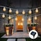 Aiwanto Solar Pineapple Light String Light Bulb Round Ball Light Outdoor Garden Light