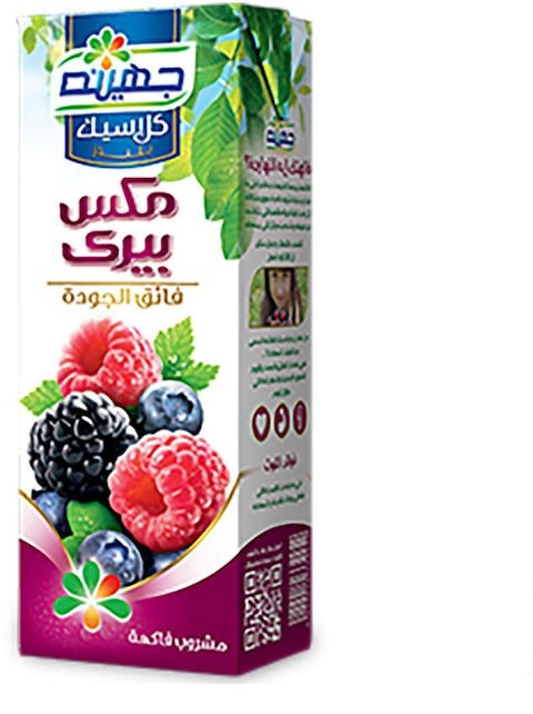 Juhayna Mixed Berries Flavour Juice - 235 ml