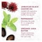Shea Moisture Jamaican Black Castor Oil Strengthen and Restore Hair Smoothie 340g