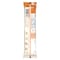 Nescafe Ice Salted Caramel, 25g