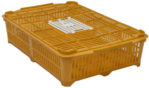 Giordano Bird Cage for Quail &amp; Other Similar Birds 67x45x15 cm (Made in Italy)