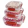 Dunya 30829 Master Square Food Storage Containers 3 Pieces Red/Clear