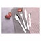 TRAMONTINA SET MALIBU 24PC