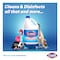 Clorox Liquid Bleach 470ml