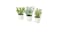 Artifi potted plant w pot, set of 3, in/outdoor herbs, 5 cm