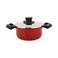Tefal Tempo Flame Casserole With Lid TFC5484682 Red 24cm