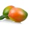Mango Keitt Egypt