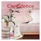 Glade Automatic Spray Holder With Blooming Peony And Cherry Refill 269ml