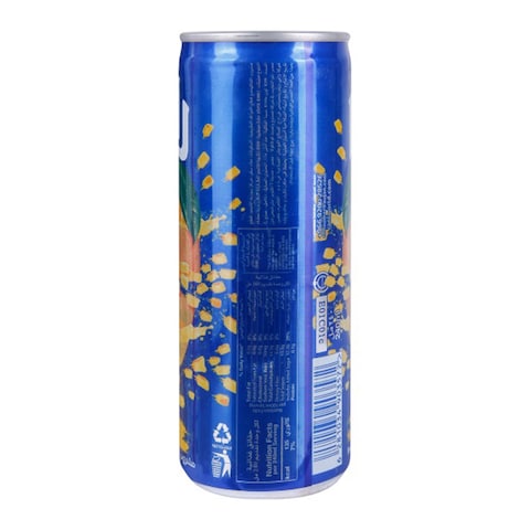 Rani Mango Juice - 235 ml