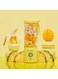 Blendjet V2 Portable Blender 16oz Lemon