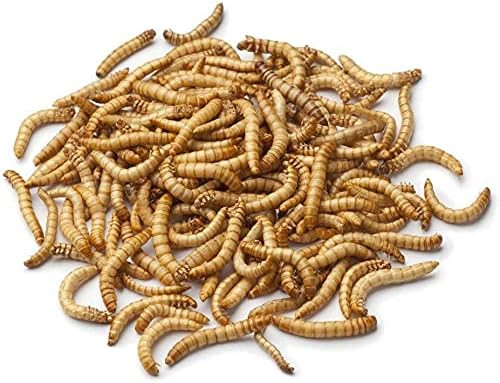 Egardenkart Dried Mealworms, Meal worms High-Protein Treats for Birds, Chickens, Turtles, Fish, Hamsters and Hedgehogs All Natural Animal Feed (250g)