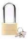 Terminator Brand Long Shackle Brass Pad lock (50mm) with 3 keys