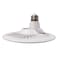 ICC Bulb AC175-265V 40W
