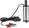 Abbasali 12V Fuel Transfer Pump Submersible Water Pump Mini Electric Oil Pump With Filter For Automotive, Farm &amp; Marina Use(Size:12V)
