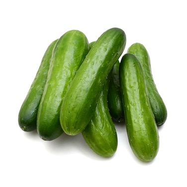 Saudi Greenhouse Management Company Mini Cucumber &amp; Cherry Tomatoes