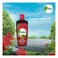 Dabur Vatika Naturals Castor Enriched Hair Oil 300ml Pack of 2