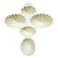 Medium Plastic Maamoul Mold