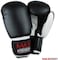 Maxstrength Boxing Gloves And Focus Pads Set