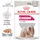 Canine Care Nutrition Exigent (WET FOOD- Pouches 12's)