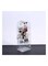 East Lady Jewellery Holder Display Stand Bracelet Clear