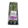 Fresh Rosemary Ponet 20g