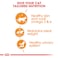 Feline Care Nutrition Intense Beauty Jelly (WET FOOD - 12'S)
