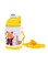 Delcasa Water Bottle Multicolour 1x24centimeter