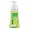 Palmolive Foaming Handwash Lime And Mint 250ml