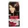 Garnier 3.0 Dark Brown Intense Permanent Color Cream