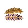 Aiwanto 5Pcs Rhinestones Hair Clip Barrettes Leaf Design Hair Accessories for Ladies