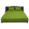 طقم ملاءة سرير (دريم بيل) باللون الاخضر