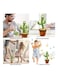 Electric Dancing Plant Cactus Plush Stuffed Toy with Music