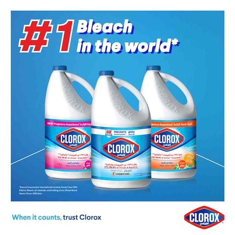 Clorox Liquid Bleach 470ml