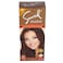 Samsol Hair Color No Ammonia 42 Natural Brown 50 ml