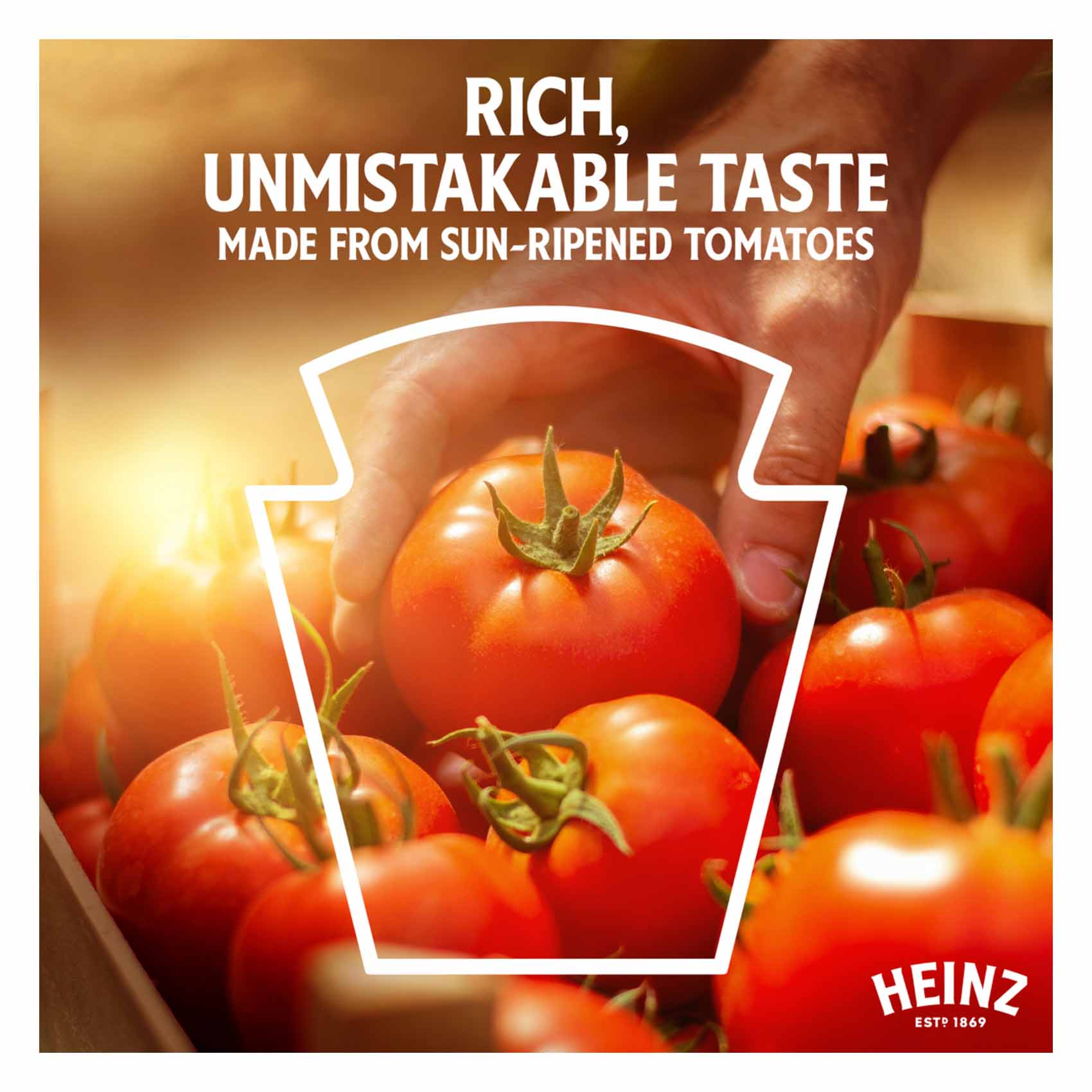 Heinz Ketchup Hot Tomato 460 Gram product thumbnail 3