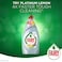 Fairy Lemon Dish Washing Liquid Soap 750ml