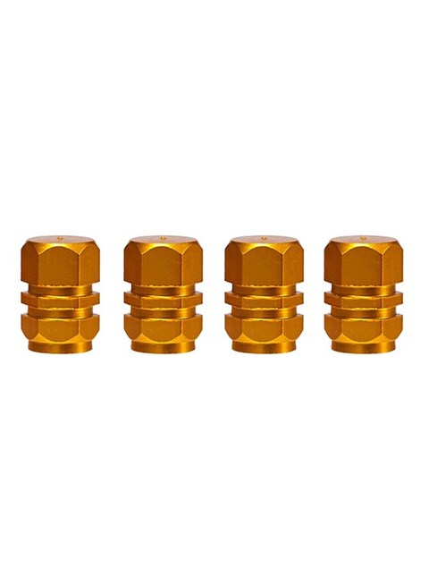 Generic 4-Piece Car Wheel Tires Valves Set