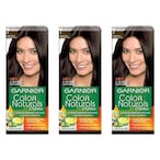 Buy Garnier Naturals Hair Colour Creme 3 Dark Brown Pack of 3 in Kuwait