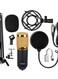 Generic Bm-800 Condenser Microphone Set V6949B-G_P Black/Gold