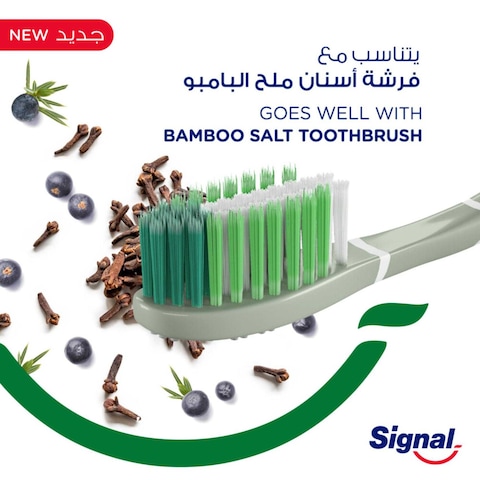 Signal Complete 8 Nature Elements Toothpaste Clove 75ml
