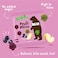 Bear Paws Pure Fruit Snacks, Apple and Blackcurrant, 20g Pack of 5