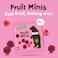 Bear Fruit Minis Snacks Raspberry 20g