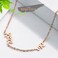 Aiwanto Anklet Ankle Chain Rose Gold Anklets