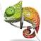 Eugy 075 Chameleon Eco-Friendly 3D Paper Puzzle [New Seal]