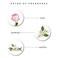 Enchanteur Romantic Perfumed Talc 250gr