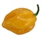 Chilli Habanero Yellow