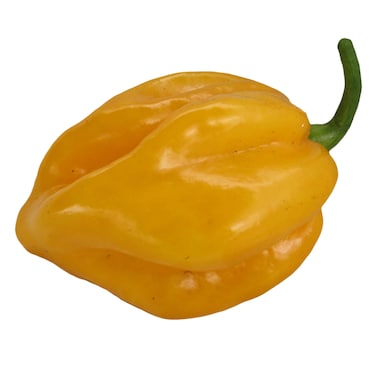 Chilli Habanero Yellow 40g