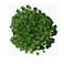 Generic-CK890 12 Strands Fake Plant Leaves Home Kitchen Garden Office