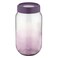 Qlux Rainbow Glass Jar 1000Cc Violt